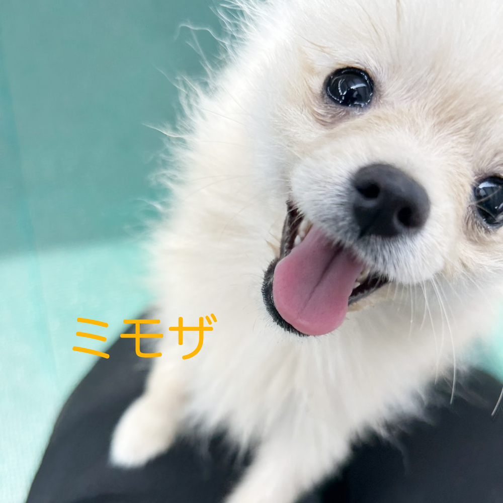 kBeʐ^@